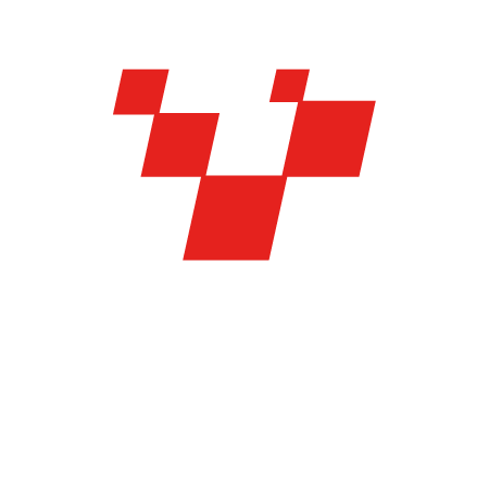 MSV Logo